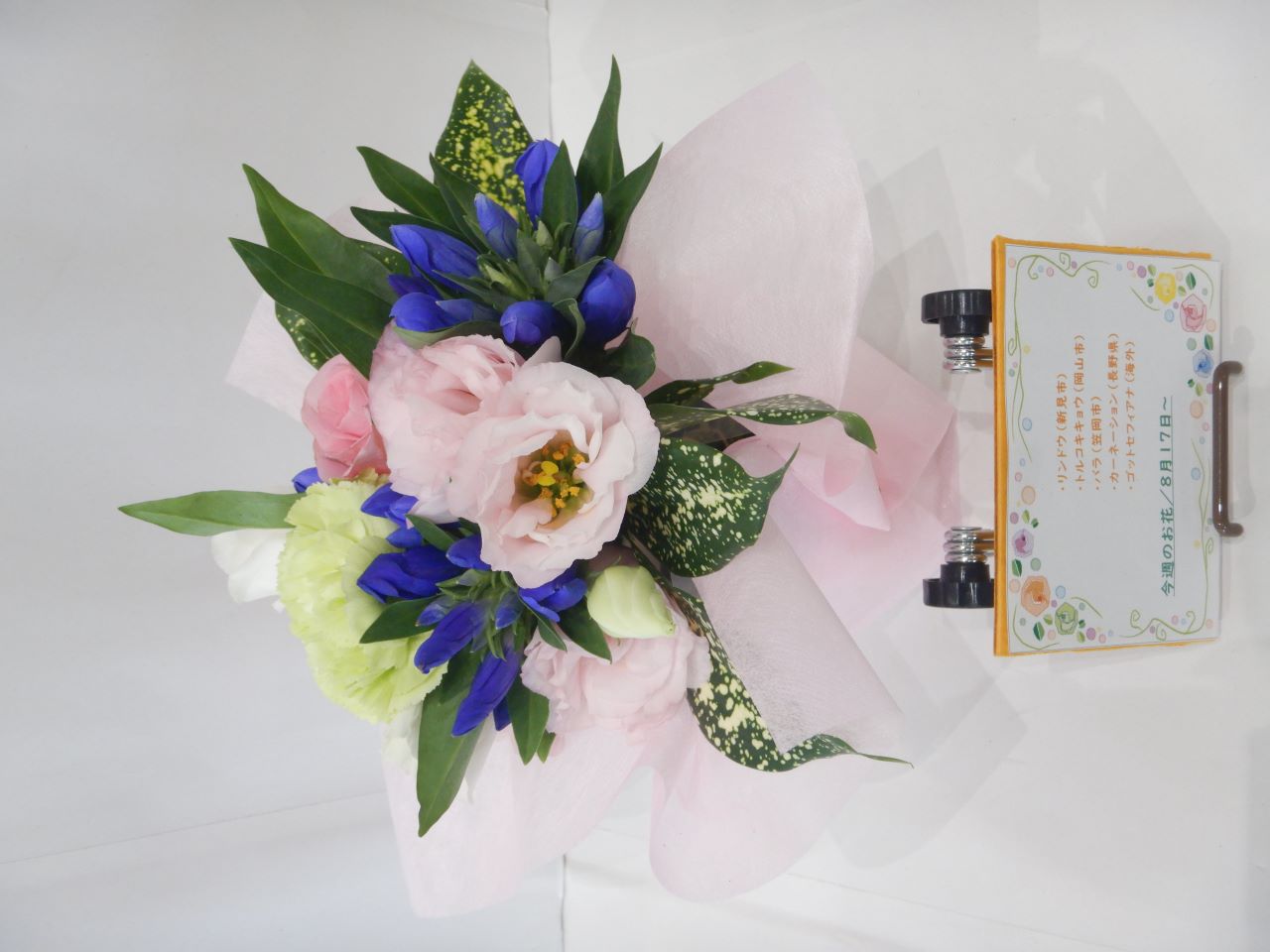 8月17日の週の花