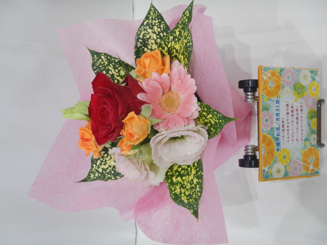 8月31日の週の花