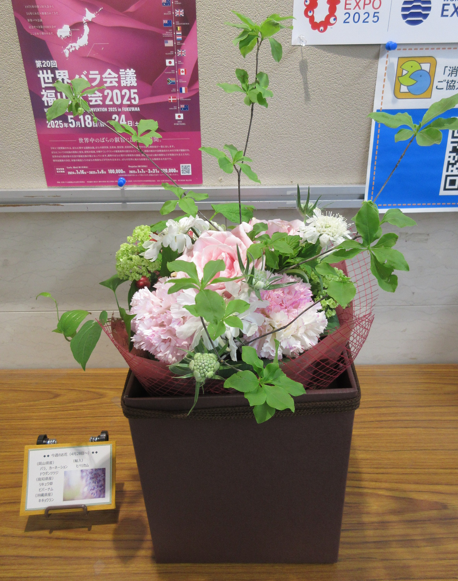 4月28日の週