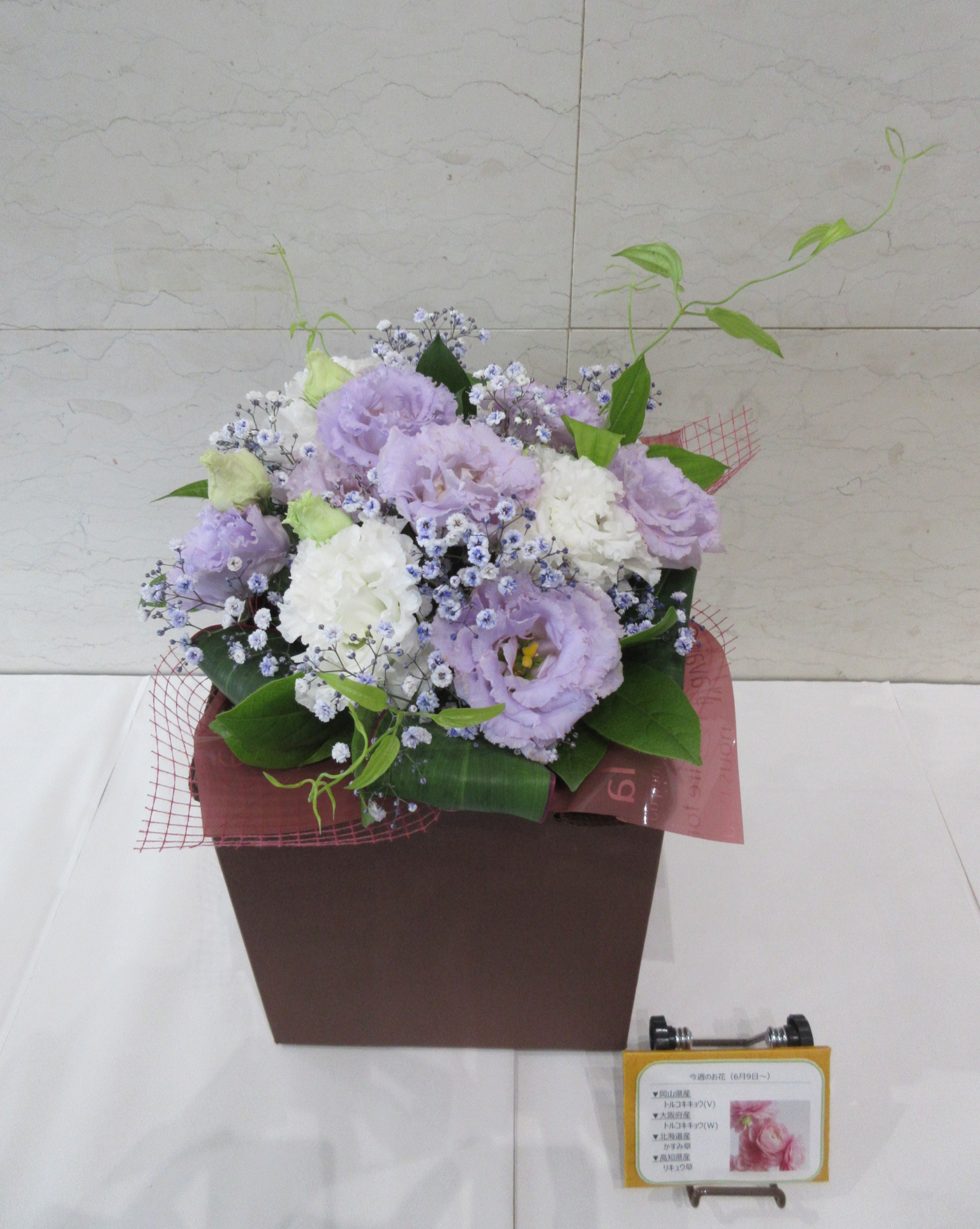 ６月９日の週の花