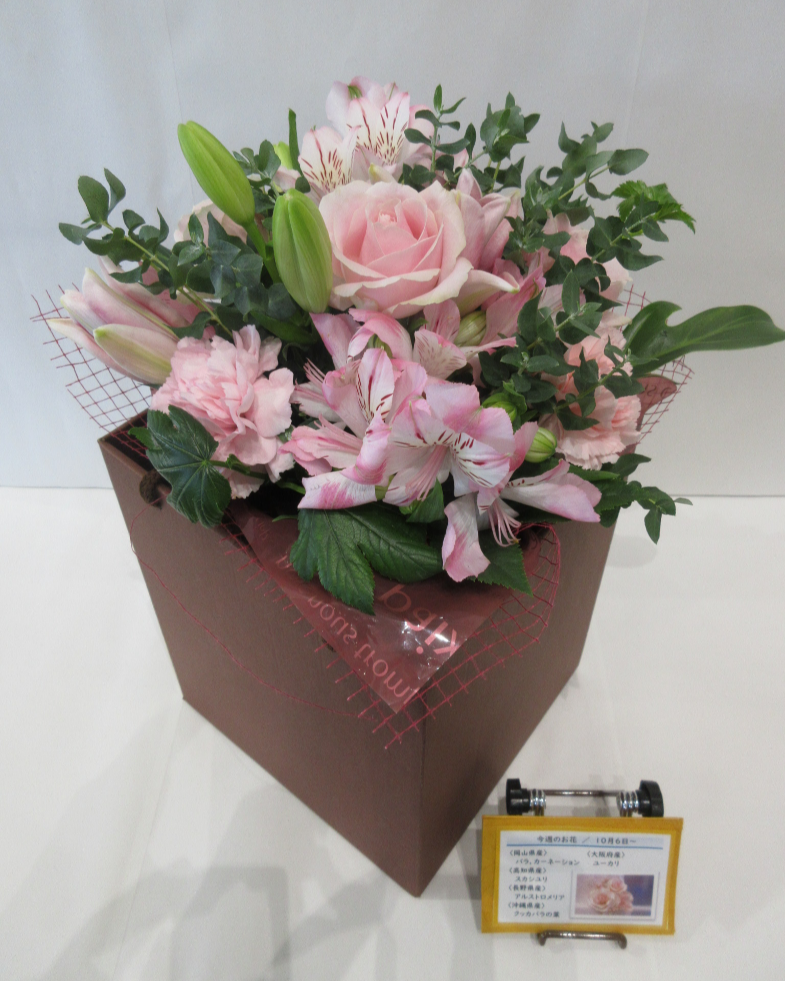 10月6日の週の花