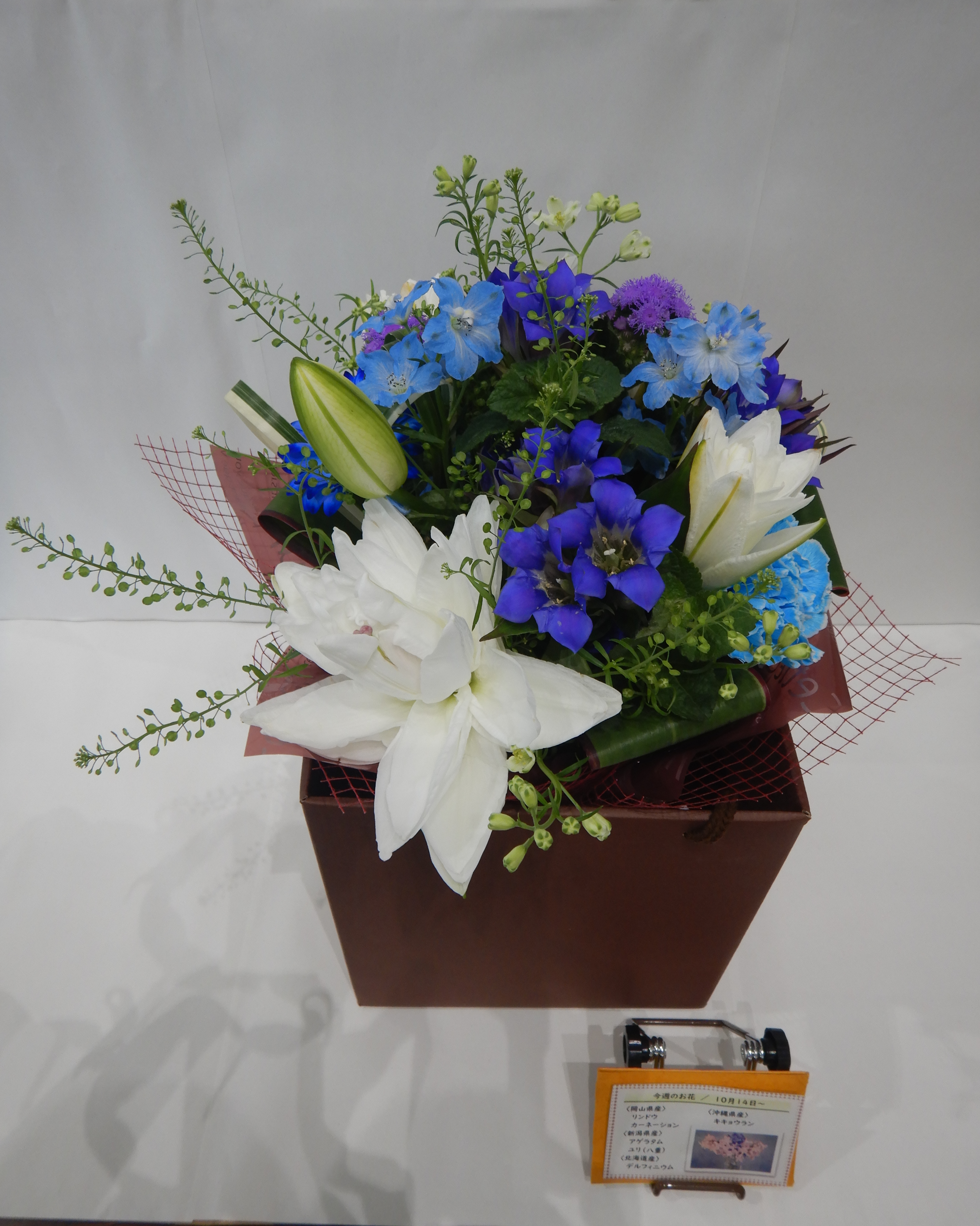 10月14日の週の花