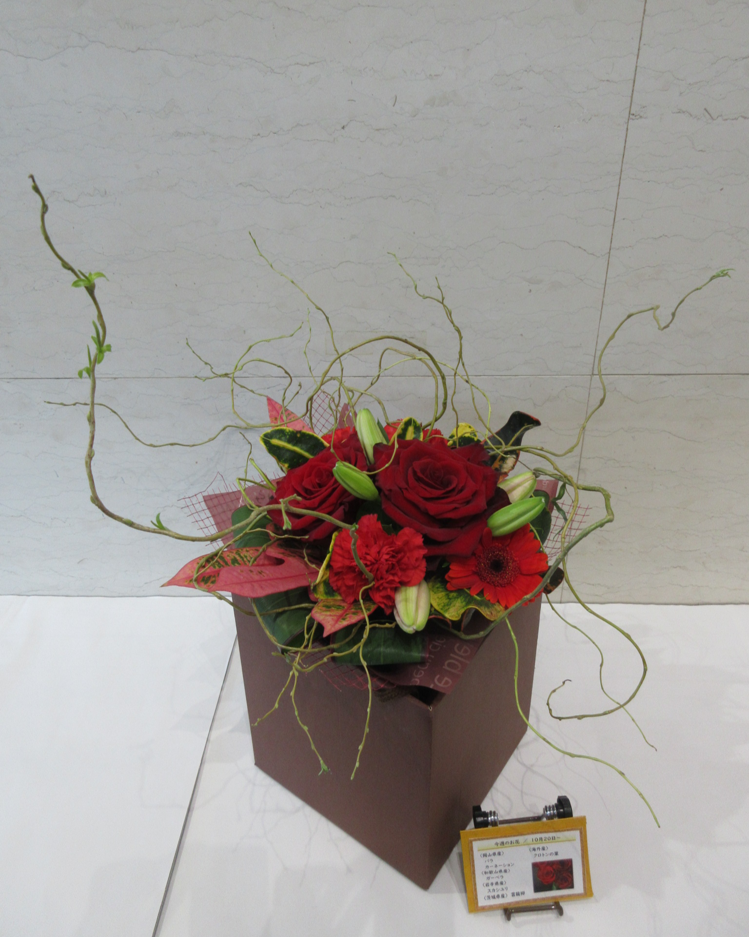 10月20日の週の花