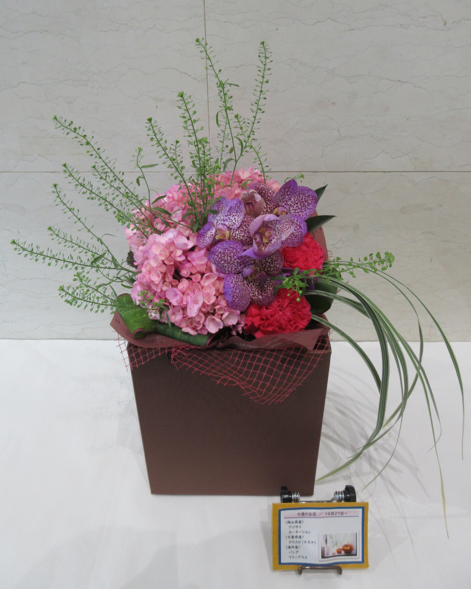 10月27日の週の花