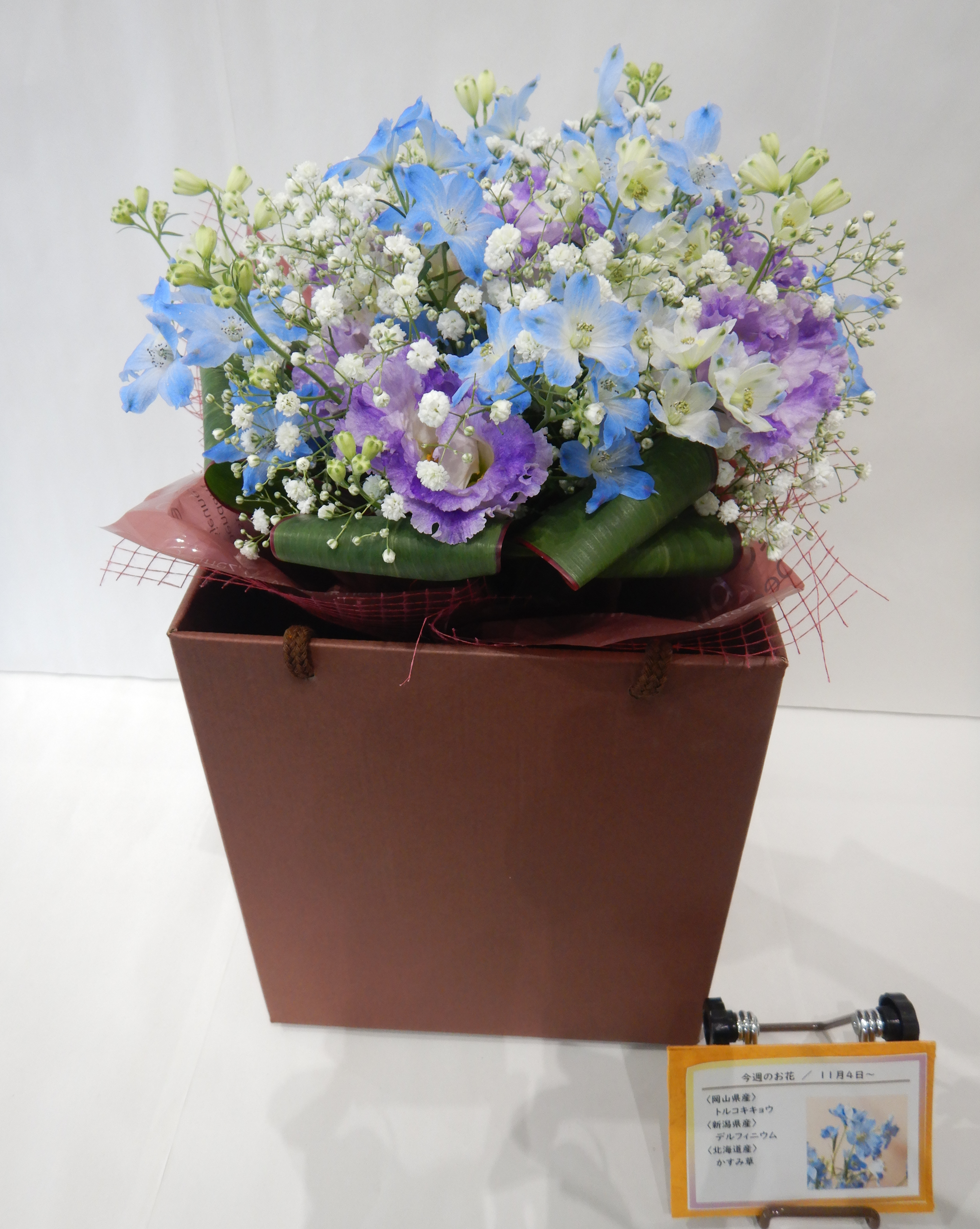 11月４日の週の花