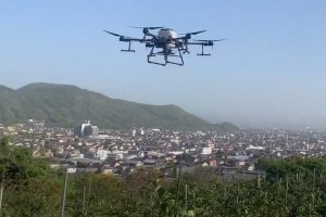 ドローンによる果樹園の防除の写真