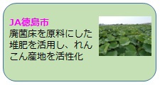 JA徳島市の取組概要