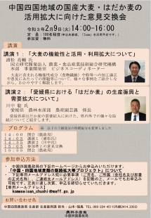 チラシ