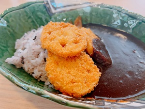 岩国のレンコンカレー