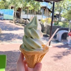 わさびソフトクリーム