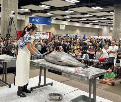 サバキ女子による解体LIVE