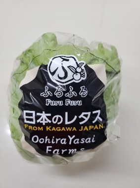 レタス