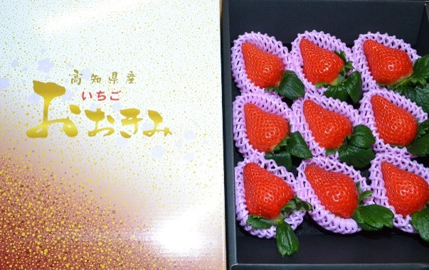 化粧箱に入ったいちご