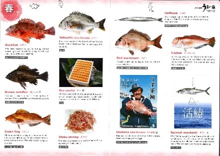 徳島県の水揚げ魚種の紹介冊子