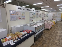 展示の様子