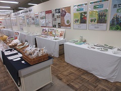 展示の様子