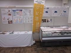 展示の様子