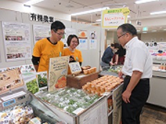 フェア１
