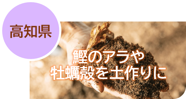 15高知