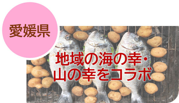 4愛媛