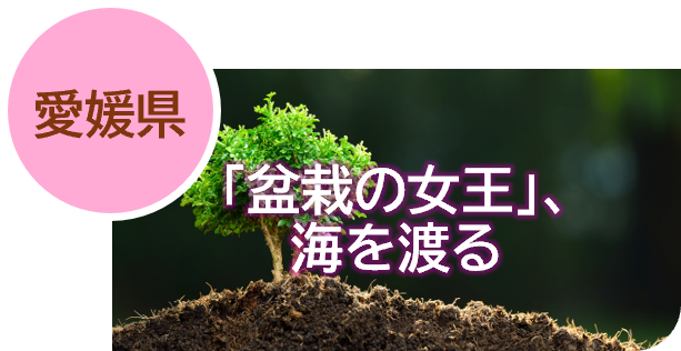 3愛媛