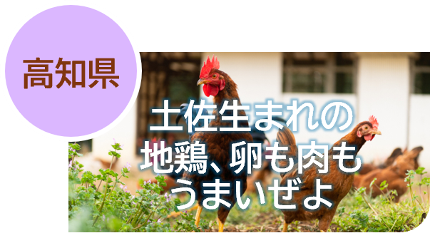 1高知
