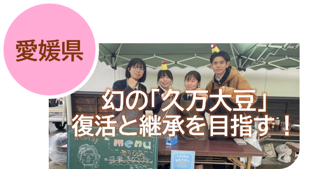 14愛媛
