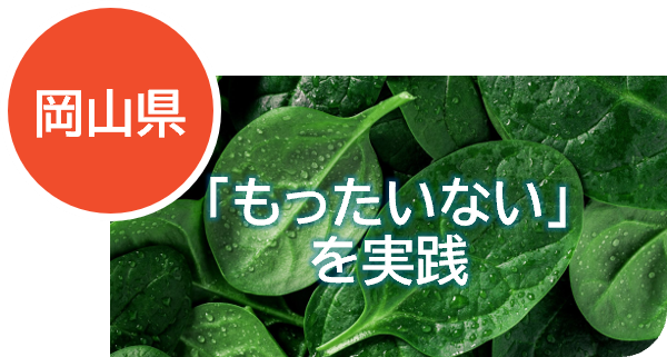 11岡山