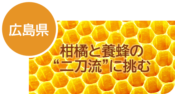10広島