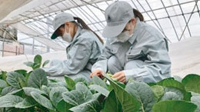 岡山県立高松農業高等学校