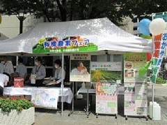 展示の様子②