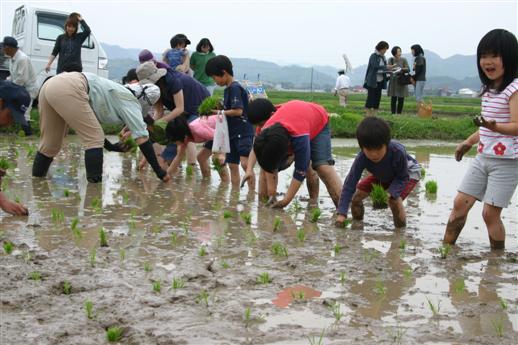 食に関する体験・田植え