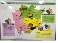 岡山県はピオーネの