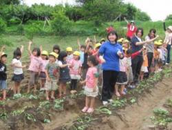 園児と収穫