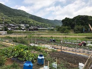 大豆、野菜などを作っている畑