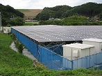 営農型太陽光発電の様子
