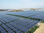 下農地（常緑キリンソウ）の上部に太陽光パネルを設置