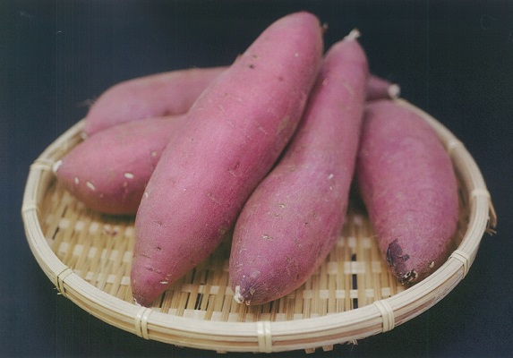 Namegata Kansho Photo