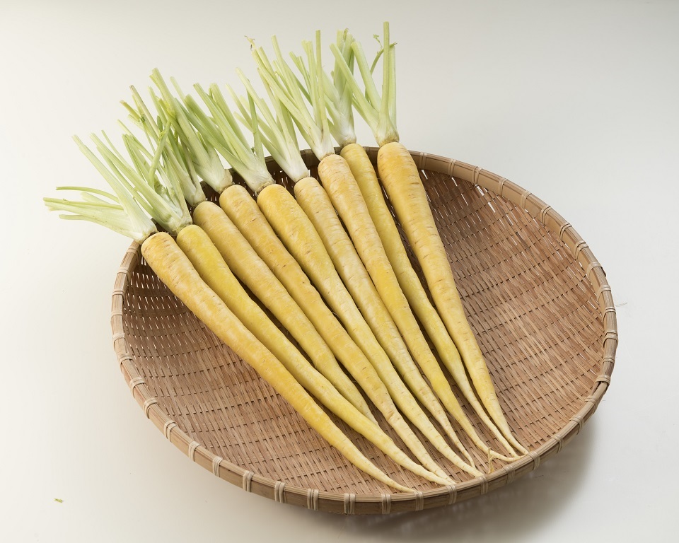 島にんじん