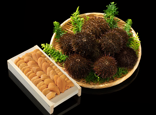 Hamanaka Youshoku Uni Photo