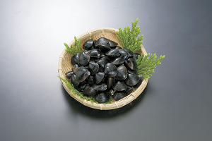 Jusanko san Yamato Shijimi Photo