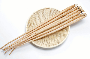 Tsurajima Gobou Photo