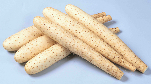 Tokachi Kawanishi Nagaimo Photo