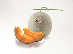 Yubari Melon Photo