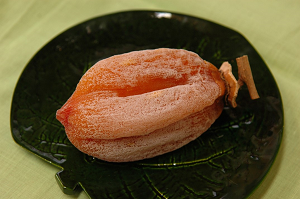 Dojo Hachiya Gaki Photo