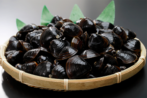 Ogawarako san Yamato shijimi Photo