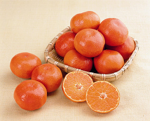 Kagawa Obarabeniwase Mikan Photo