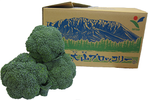 Daisen Broccoli Photo