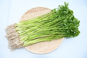 Kahoku Dropwort Photo