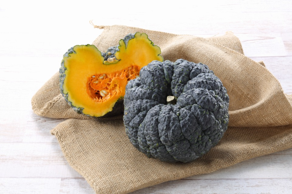 Bizen Kurokawa Squash